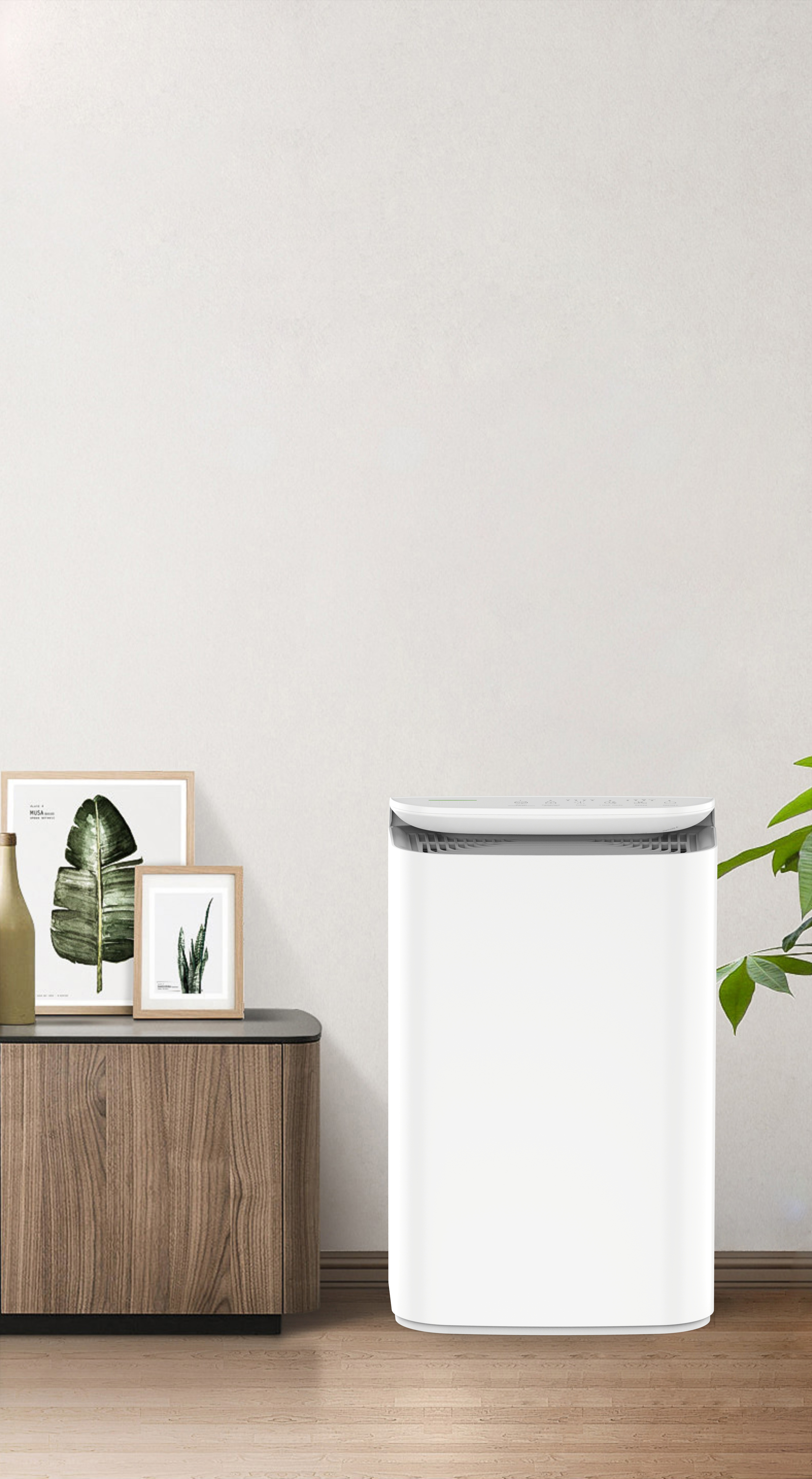 I-upgrade ang teknolohiya ng anion sariwang hininga ng kagubatan BKJ-16B