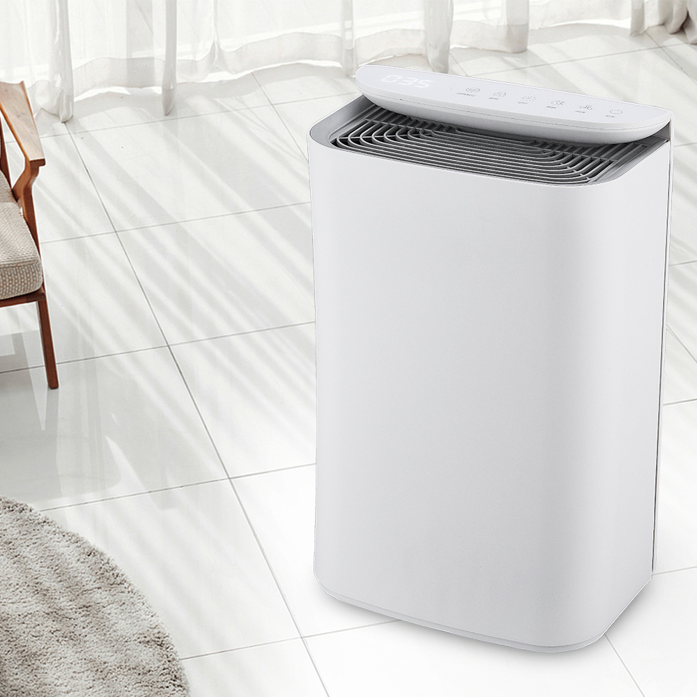 I-upgrade ang teknolohiya ng anion sariwang hininga ng kagubatan BKJ-16B