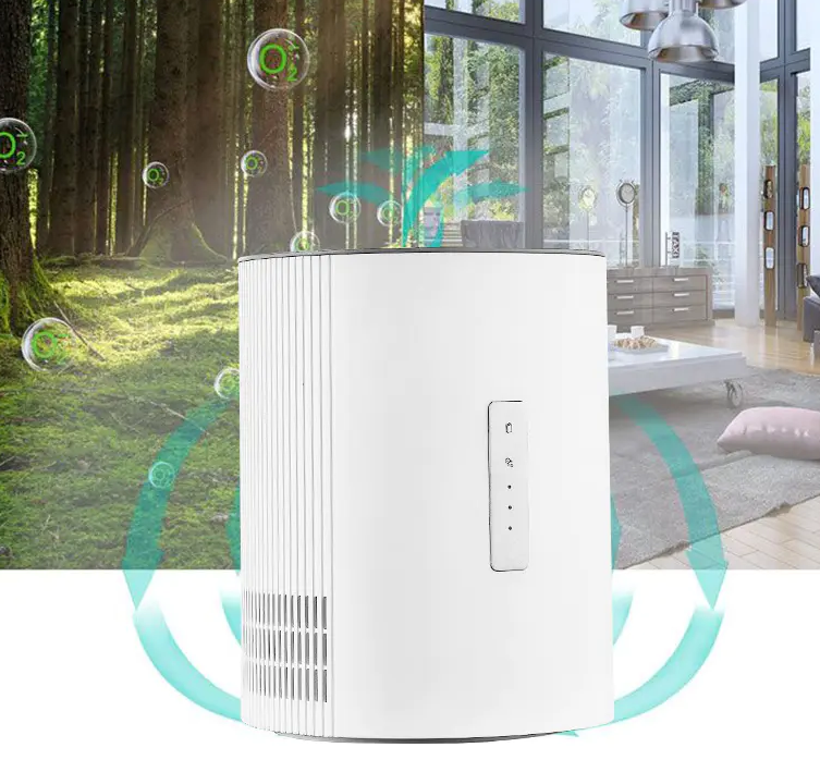 Gabay sa Pagbili ng Air Purifier